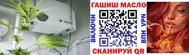 Купить  Сертолово  ТГК THC oil 