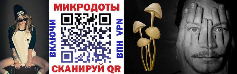 Галлюциногенные грибы мухоморы  Купить где  Сертолово 